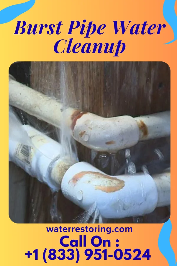 Burst Pipe Water Cleanup in Benndale, MS